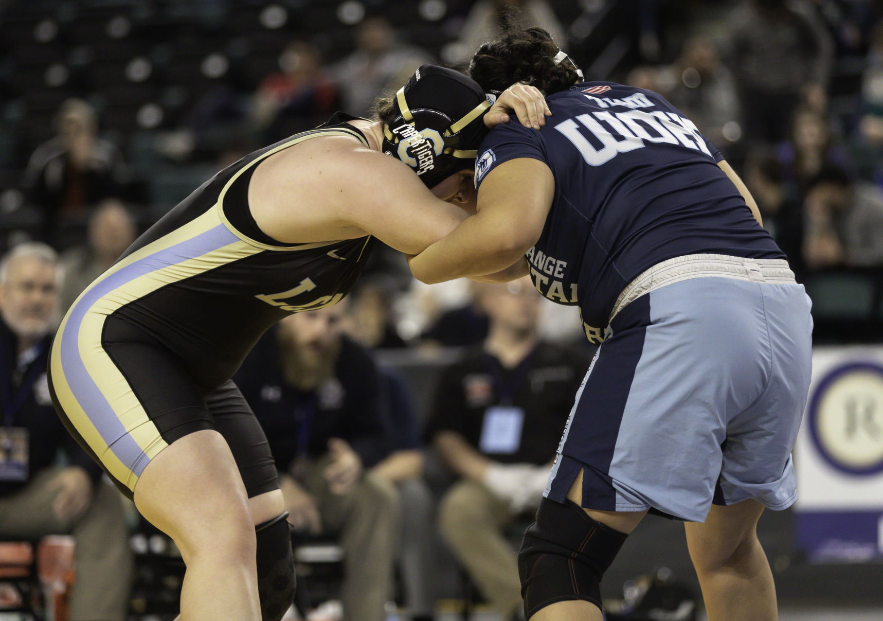 spt_wrestling